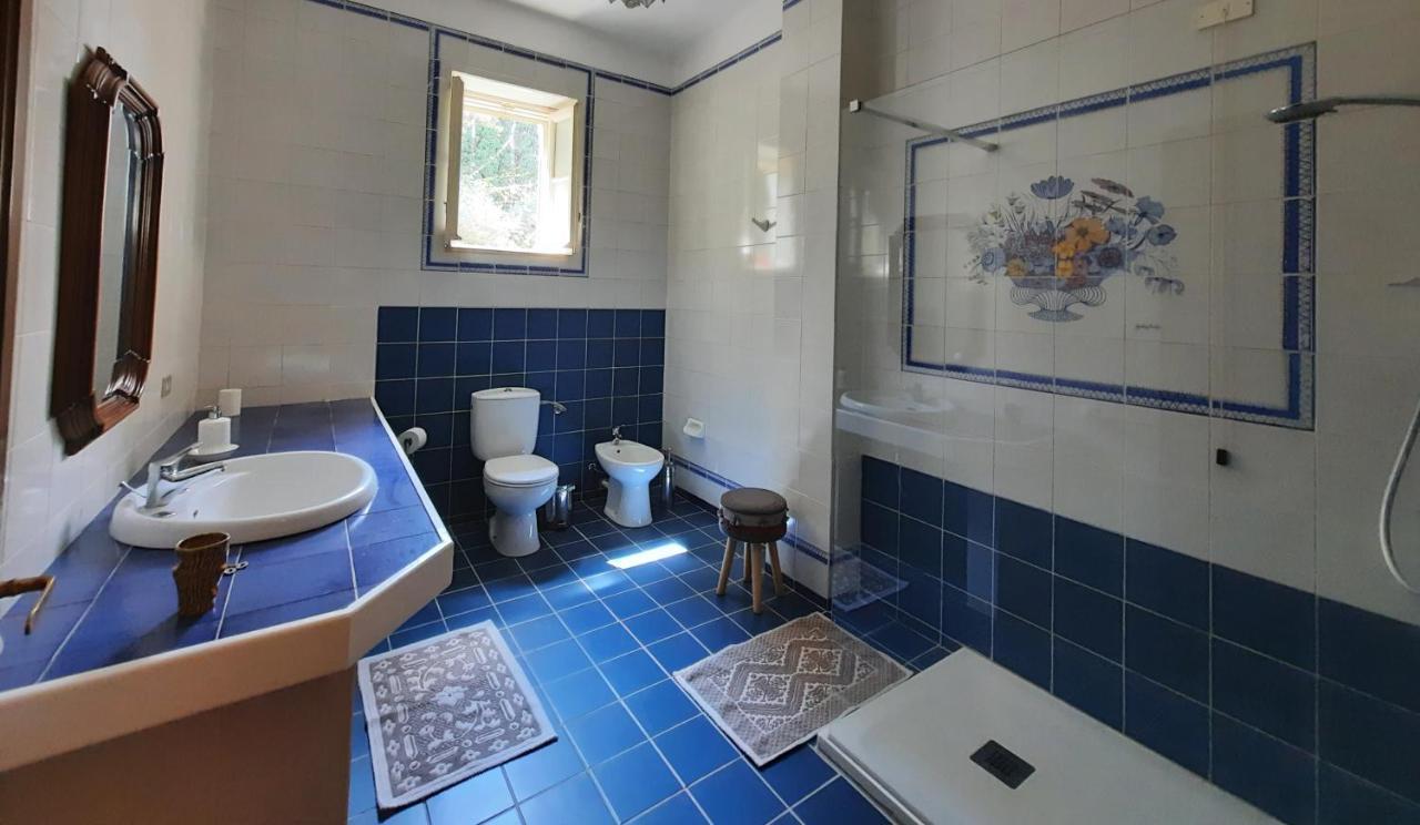 Del Commendatore Sirugo Holiday home *